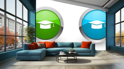 Graduation silver metallic glossy icons, cap, education concept set of modern design buttons for web, internet and mobile applications in four colors options isolated on white background Wall mural