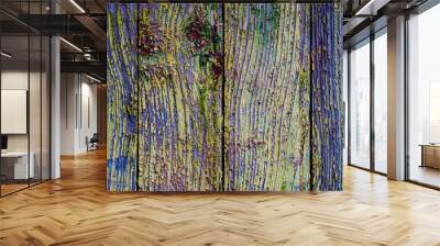 wooden texture, abstract colorful background Wall mural