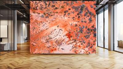 Red Earth of Australia Wall mural