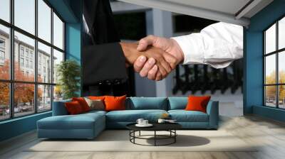 two businessman shaking hands Wall mural