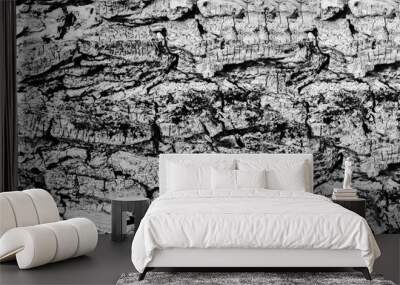 black and white tree bark texture grunge  nature background Wall mural