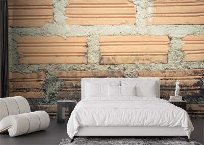 brown wall brick grunge texture background Wall mural