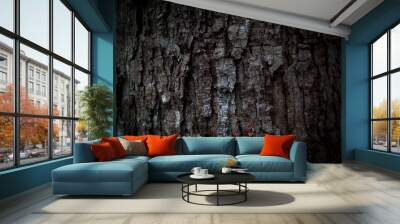 gray and black tree bark texture background Wall mural