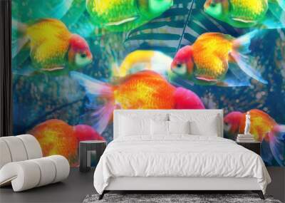 tropical fish in aquarium Wall mural