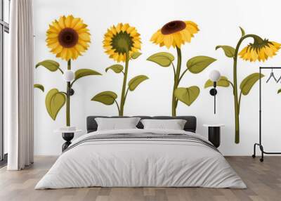 sunflowers. beautiful botanical illustrations with yellow sunflowers. Vector colored floral set of summer flowers Wall mural