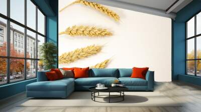 isolated ripe wheat with copy space Wall mural