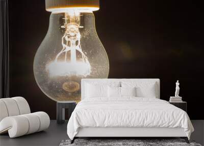 Incandescent lamp turn on in the dark, light bulb shines brightly. New idea Wall mural