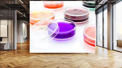 color liquid in old plastic petri dishes Wall mural