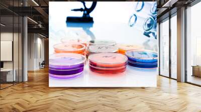 color liquid in old plastic petri dishes Wall mural