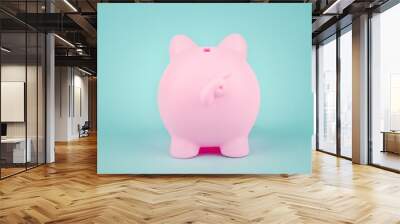 Finance, banking, saving money account. Rear views of piggy bank on white background. Pink Piggybank Back. ack rear view of pink piggy money Wall mural