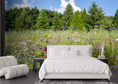 A colorful meadow of flowers that provides an ideal habitat for insects and a good source of food Wall mural