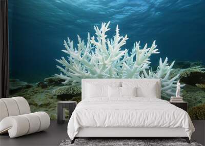 A Pacific coral has bleached due to higher than normal sea surface temperatures bleaching is the loss od symbiotic zooxanthellae from the coral s tissue with copy space image Wall mural