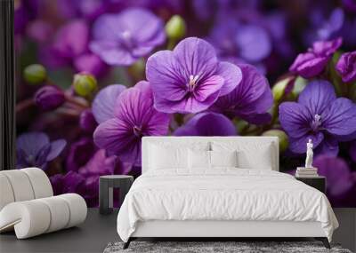 Beautiful purple flowers with green  leaves.
 Wall mural