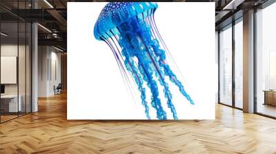 Blue jellyfish clip art Wall mural