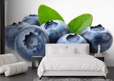 blueberries isolated on white background Wall mural