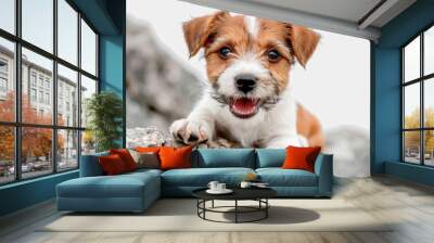 A brown and white dog resting on top of a rock, great for outdoor or nature-themed designs Wall mural