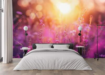 A sunny day with a beautiful field of purple flowers Wall mural