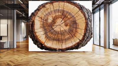 Natural Wooden Cut Log Wall mural