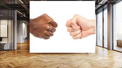 Close-up photo of two arms different race skin color isolated on white background Wall mural