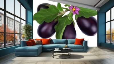 Eggplant isolated on white Wall mural