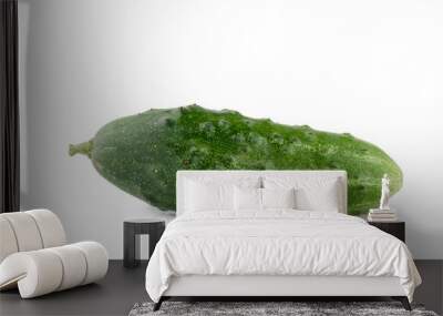 Fresh сucumber isolated on white background Wall mural