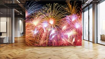 gorgeous fireworks! Wall mural