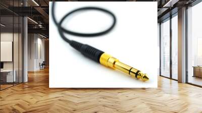 headphone plug Wall mural