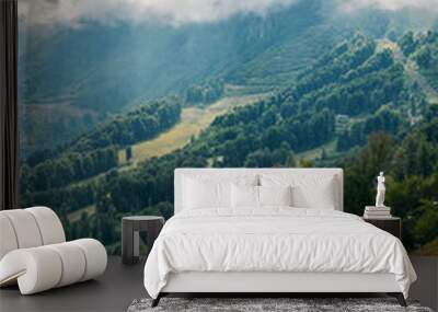 Beautiful panorama of summer mountains Wall mural