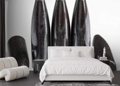 Molybdenum-coated bullets, 9.3 mm, 235 GR. Wall mural