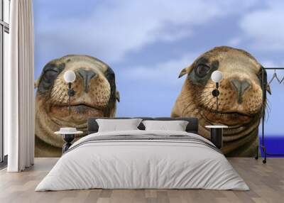 Nosey Funny Sea Lions Wall mural