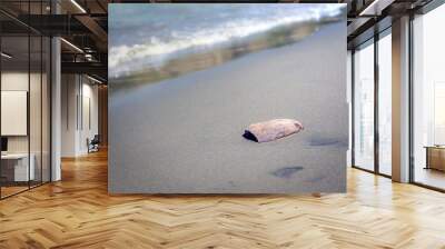 stone on the sand at the coast Wall mural