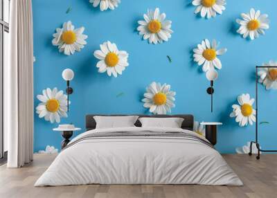 Sunny chamomile flowers isolated on blue background. view from above. generative ai Wall mural