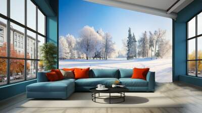 Panorama of beautiful winter park Wall mural