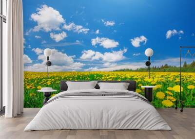 Yellow flowers field under blue cloudy sky Wall mural