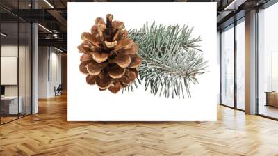 Pinecone isolated on white background with clipping path Wall mural