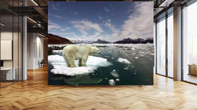 Polar Bear and global warming Wall mural