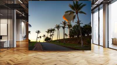 Port Hedland, WA, Australia - Communications tower at the Koombana Lookout Wall mural