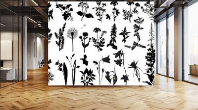 collection of wild flowers silhouettes Wall mural