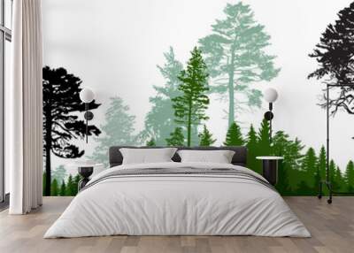 dark coniferous forest green panorama on white Wall mural