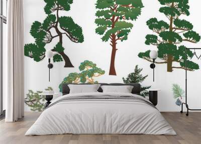 evergreen trees set isolated on white Wall mural