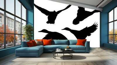 four silhouettes of ducks in flight on white Wall mural