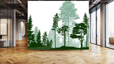 high green pines in fir trees forest isolated on white Wall mural