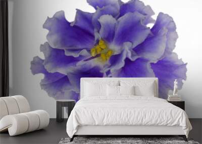 light blue violet isolated flower Wall mural