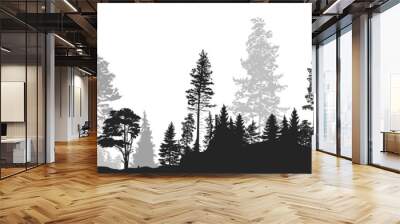 panorama of high grey fir trees forest on white Wall mural