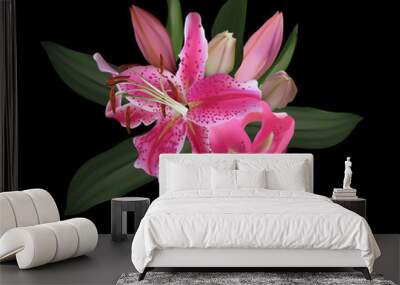 pink lily flower isolated on black Wall mural