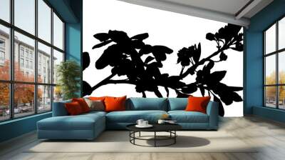 plum tree blossoming branch isolated black silhouette Wall mural