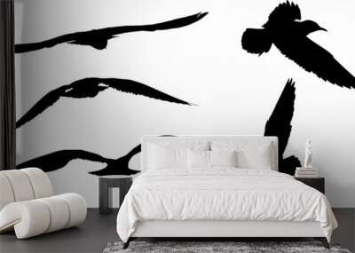 seagulls five silhouettes set isolated on white Wall mural