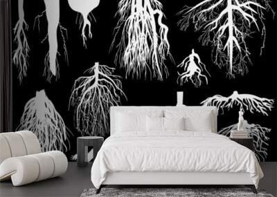 set of white roots isolated on black Wall mural