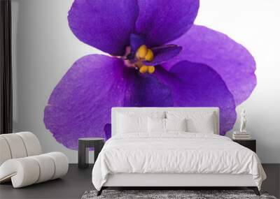 single simple isolated violet Wall mural