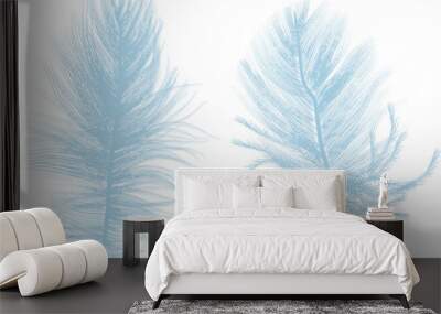 two light blue feathers isolated on white Wall mural